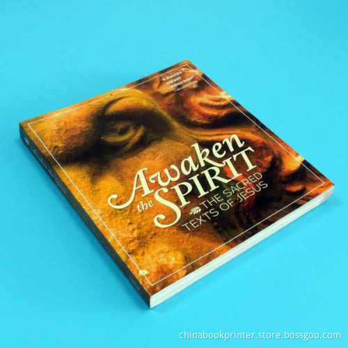 Novel Offset Paper Paperback Book Printing Services